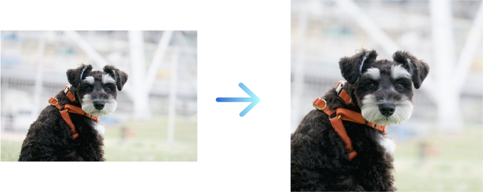 自動で画像サイズを変換してるイメージ